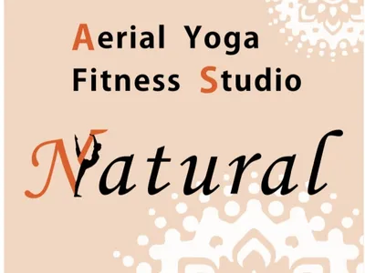 Aerial Yoga Natural