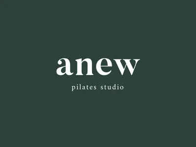 anew pilates studio