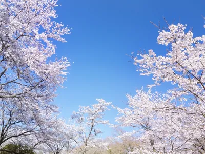 Fitness Studio Linoul